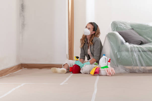 Reliable Black Mold Removal contractor in Dumont, NJ by WQB Mold Removal